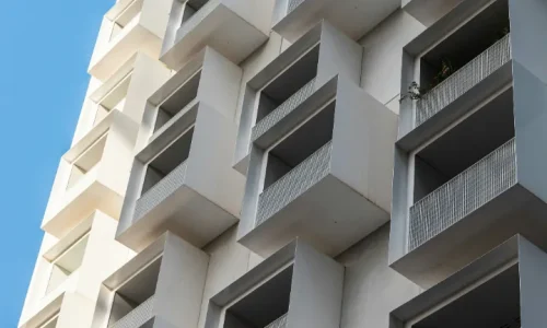 Белая сумка круглый год: чем поддержать